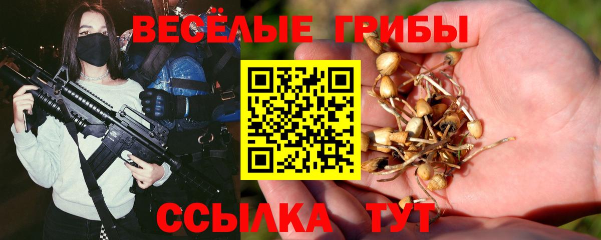 Псилоцибиновые грибы GOLDEN TEACHER  Вход с VPN  Галлюциногенные грибы Psilocybine cubensis  Назарово 